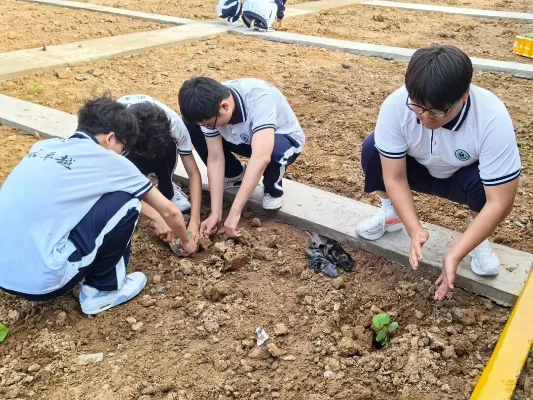 致中考少年・五十天逐梦 | 衡水滏阳中学邀你同行 第152张