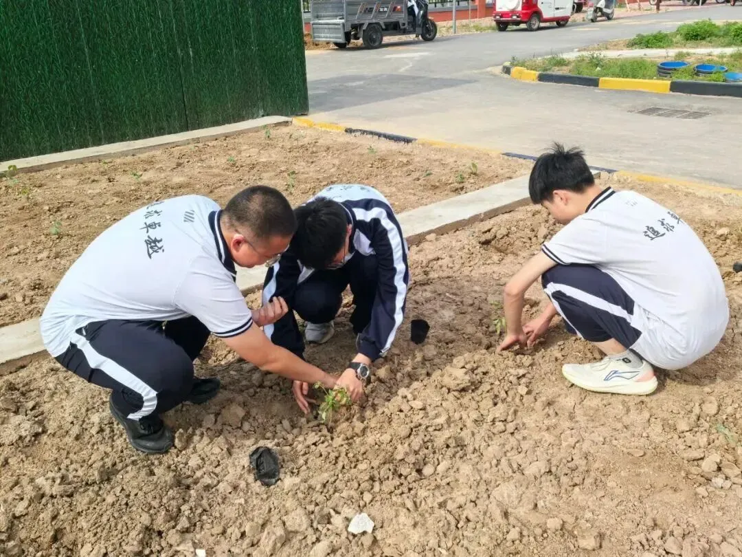 致中考少年・五十天逐梦 | 衡水滏阳中学邀你同行 第153张
