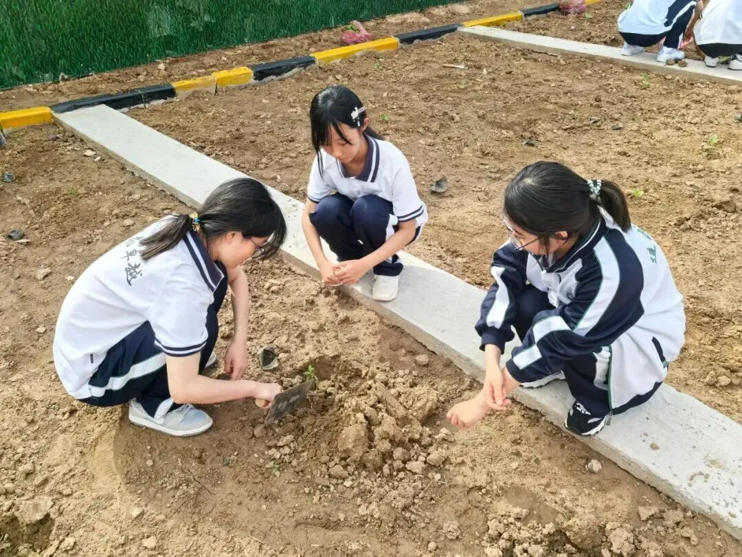 致中考少年・五十天逐梦 | 衡水滏阳中学邀你同行 第155张