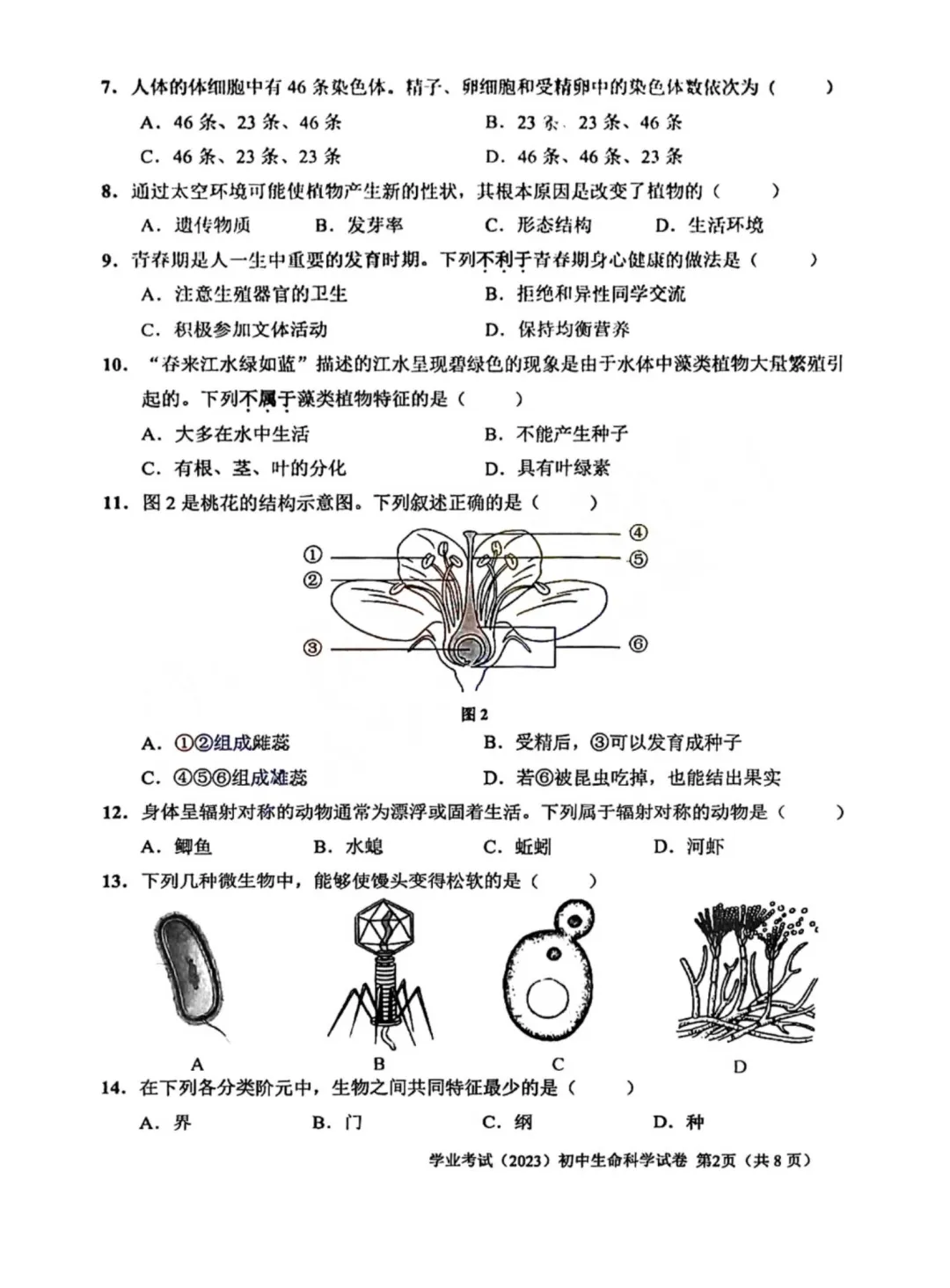 上海初中科学会考历年真题(2015-2025) 第9张
