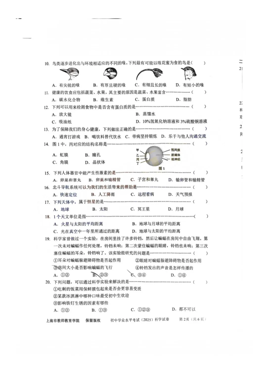 上海初中科学会考历年真题(2015-2025) 第13张