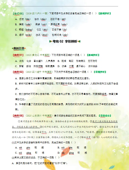 2026年中考语文第二轮复习精品(PPT课件+配套讲义+配套练习),收藏打印一份给孩子,考试冲刺120+! 第7张
