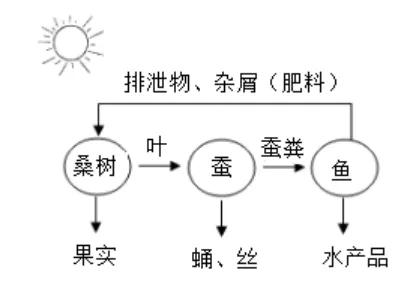 2026中考生物热点训练: 生态文明与现代农业 第2张