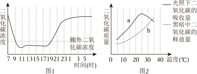 2026中考生物热点训练: 生态文明与现代农业 第3张