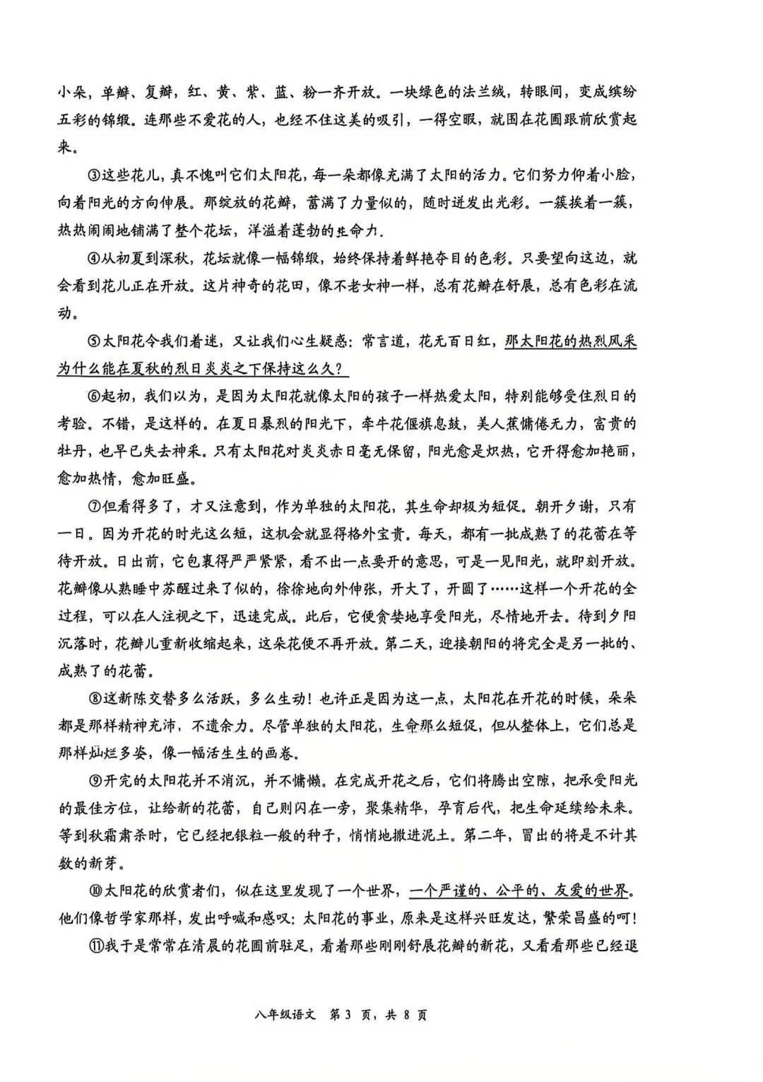 26年武汉七、八年级部分区期中语文试卷 第16张