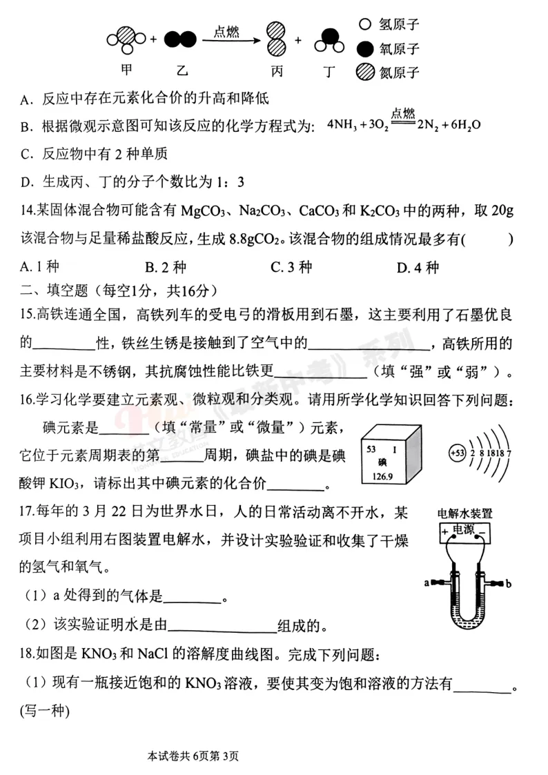 [二模]2026年洛河师大二模试卷(7科全)试卷及参考答案 第48张