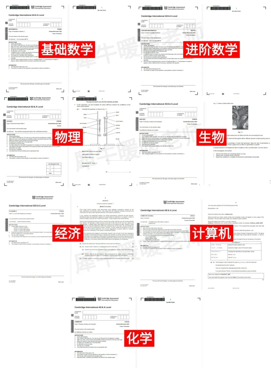 含三大考试局!ALevel大考真题分享:基础数学/进阶数学/生物/物理/化学/计算机/经济等科目 第5张