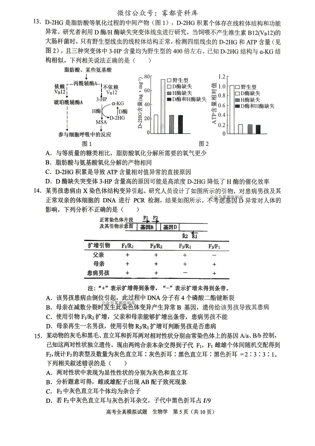 西南大学附中高2026届高三5月高考全真模拟考试生物试题 第9张