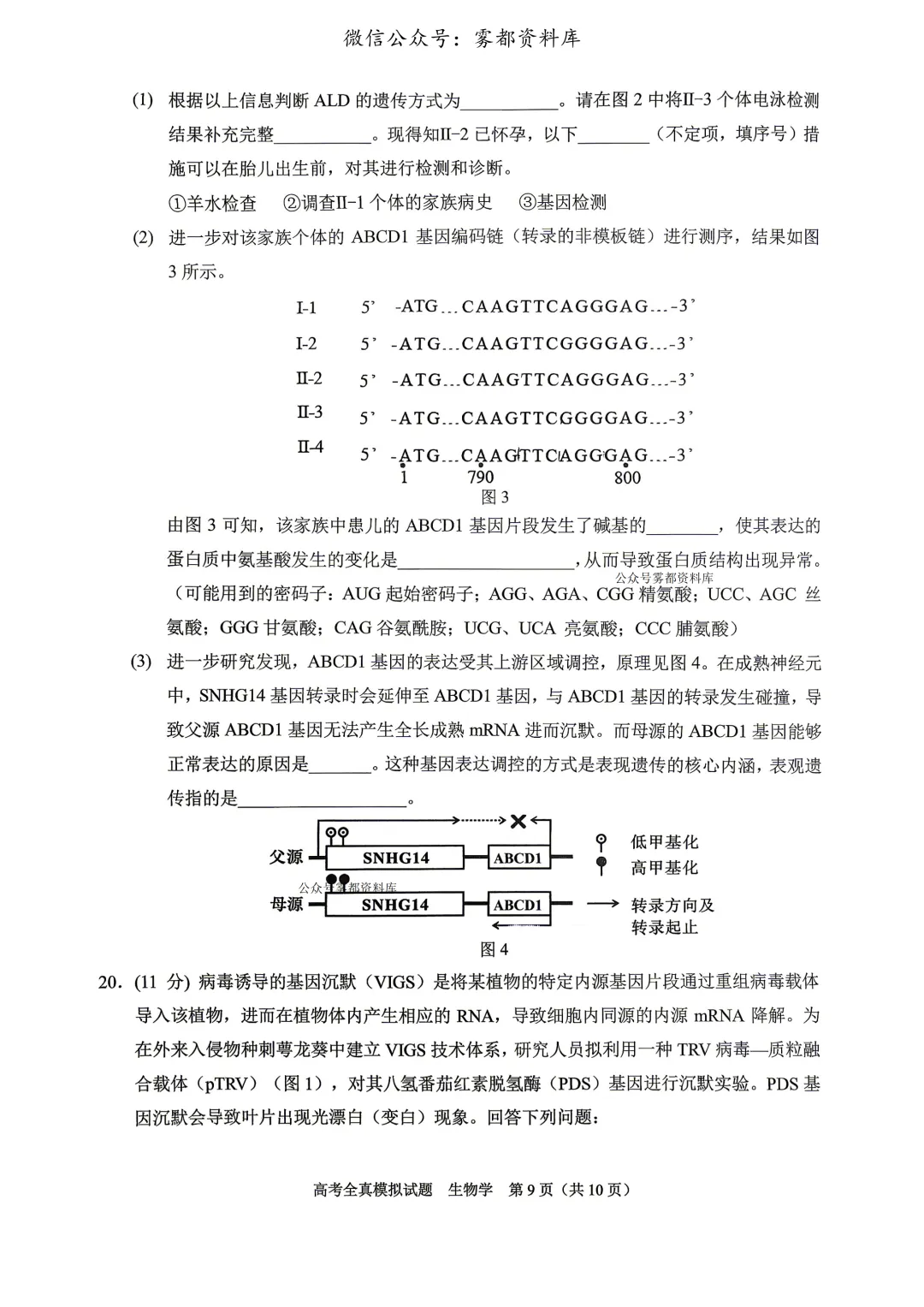 西南大学附中高2026届高三5月高考全真模拟考试生物试题 第12张