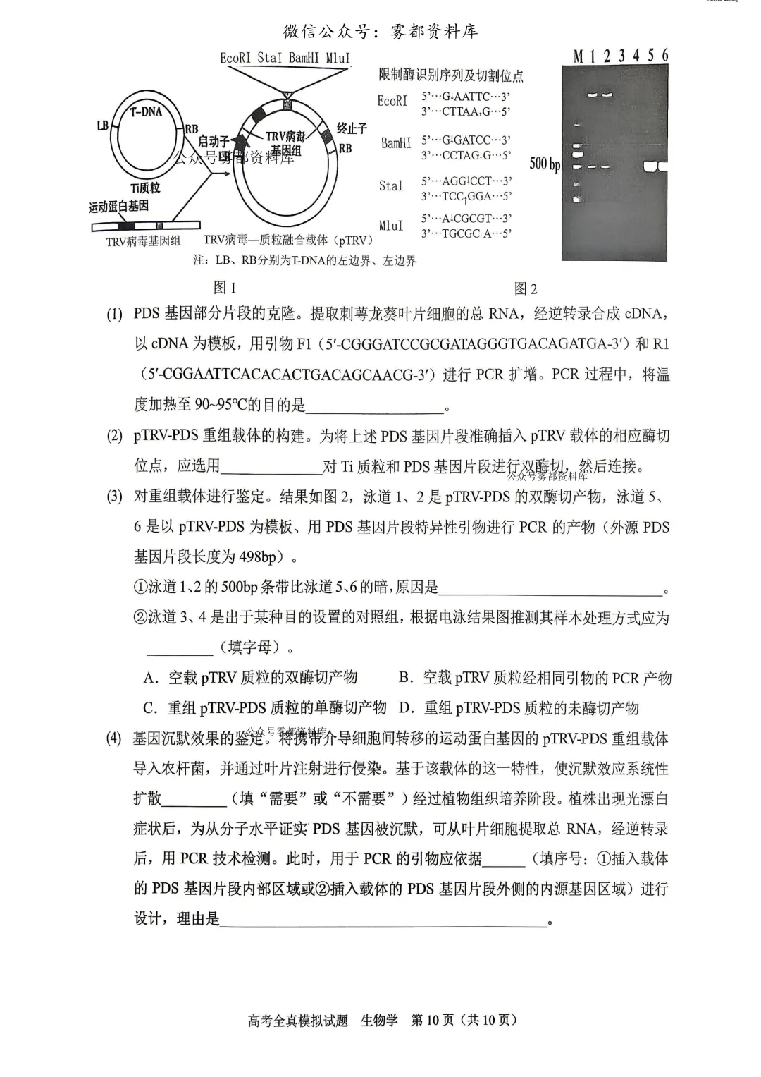 西南大学附中高2026届高三5月高考全真模拟考试生物试题 第13张