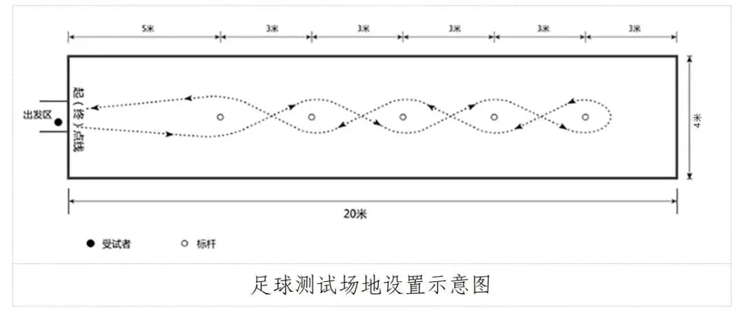 2026太原中考(体测规则及评分标准) 第4张