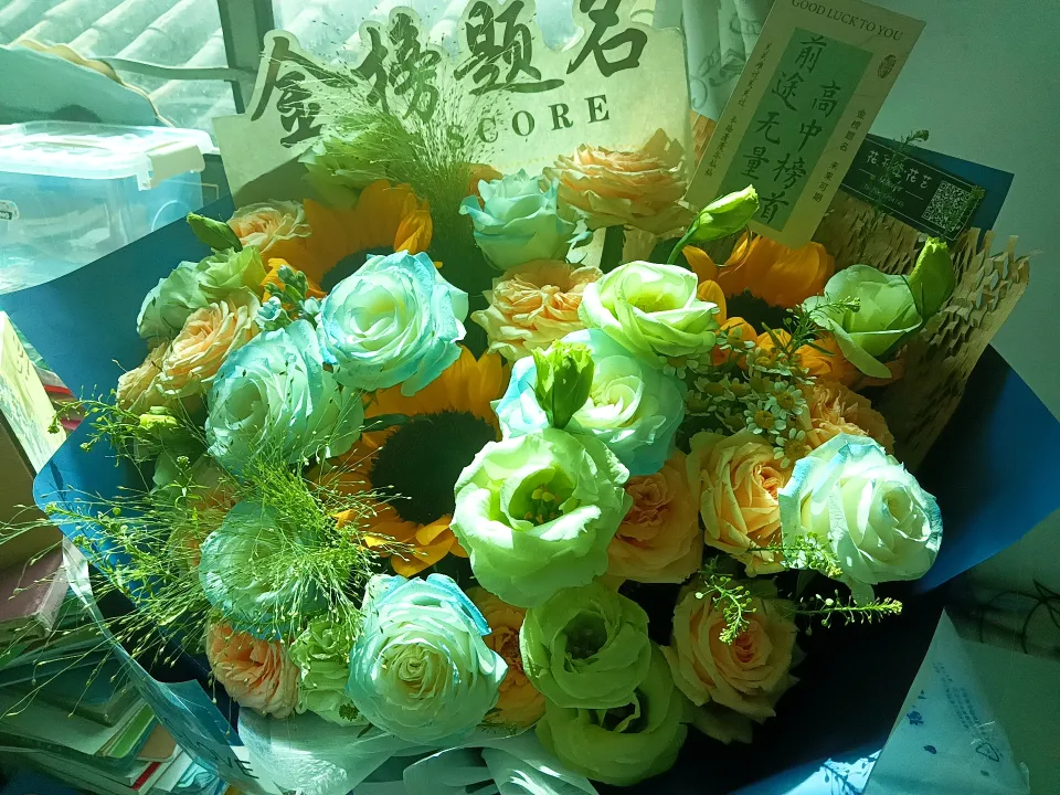 【中考祝福特辑NO.1】纸短情长,学长学姐护航|宜良实验学校2026届学子,加油! 第18张