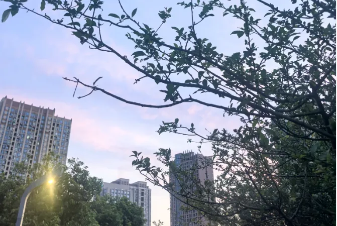 “中考作文冲刺”完结篇 | 同一素材在不同题目中的变式 第1张