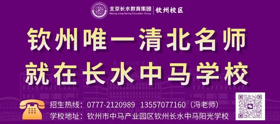 中考录取:最低成绩(统招篇) | 钦州中考 第4张
