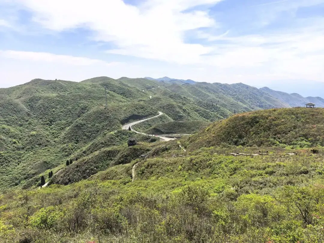 中考倒计时50天,我连夜从北京赶回,带儿子上了一趟长沙最高峰大围山 第4张