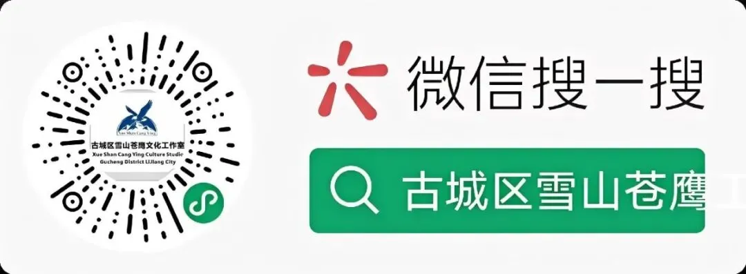 致我的女儿,中考落幕的那些日子 第1张