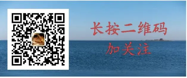 陪孩子中考,亦是自我成长 第4张