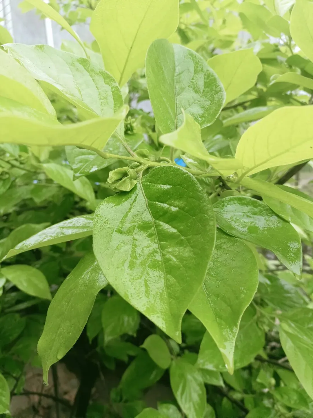 中考家庭的节假日:一边是冲刺,一边是懂事的留守 第2张