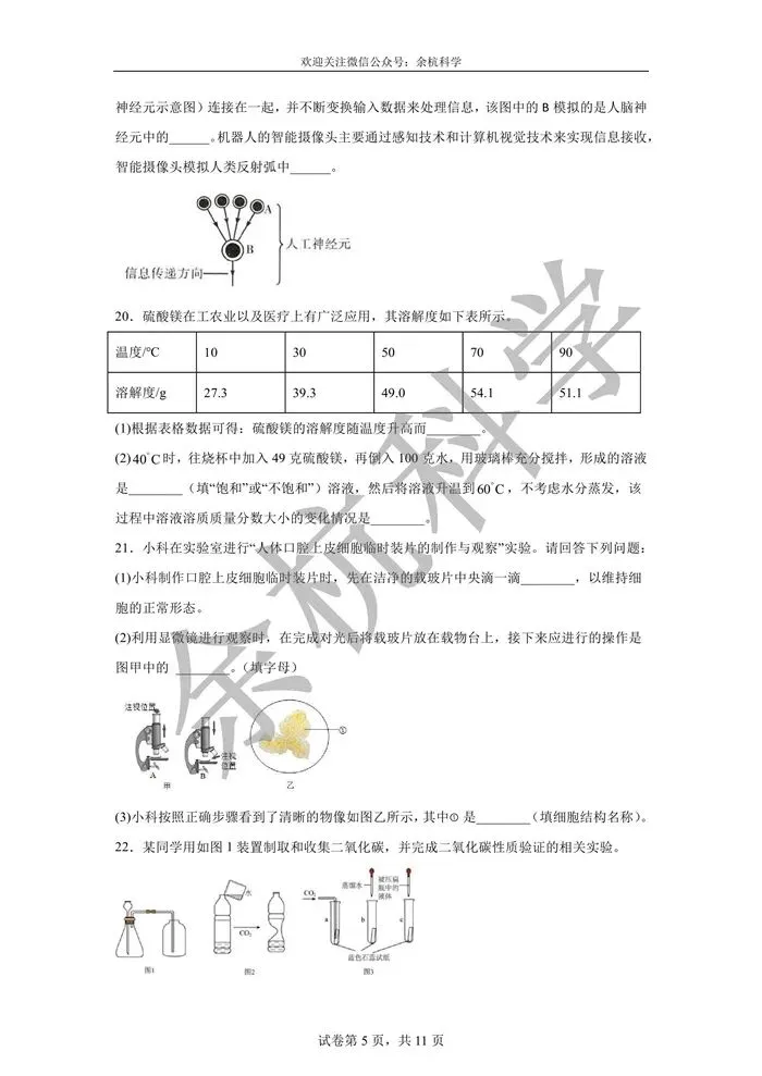 【中考模拟】浙江省2026年中考科学模拟冲刺卷(三)(含解析) 第10张