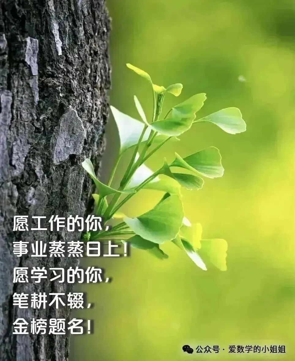2025年山东省各地市中考数学二模真题试卷88份+,精品解析版,涵盖全省各地市,权威模拟精准备考!文末免费下载 第10张
