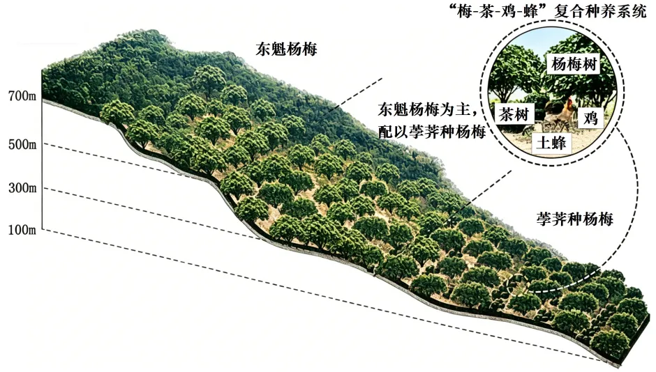 广东省中山市2026届高三下学期模拟测试(二)地理试题 第6张