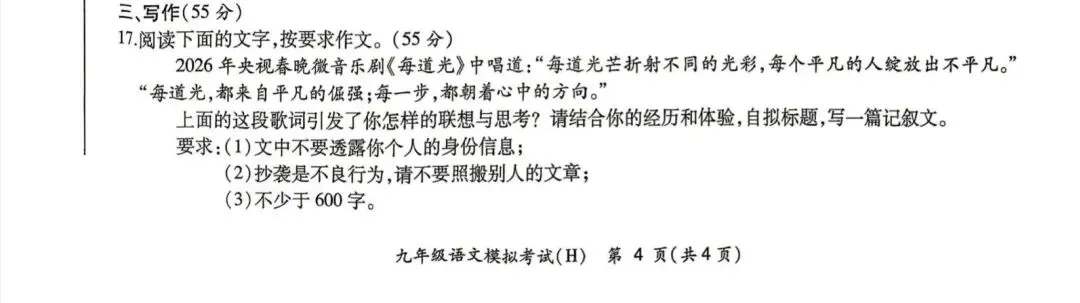 中考作文:平凡中的微光 第1张