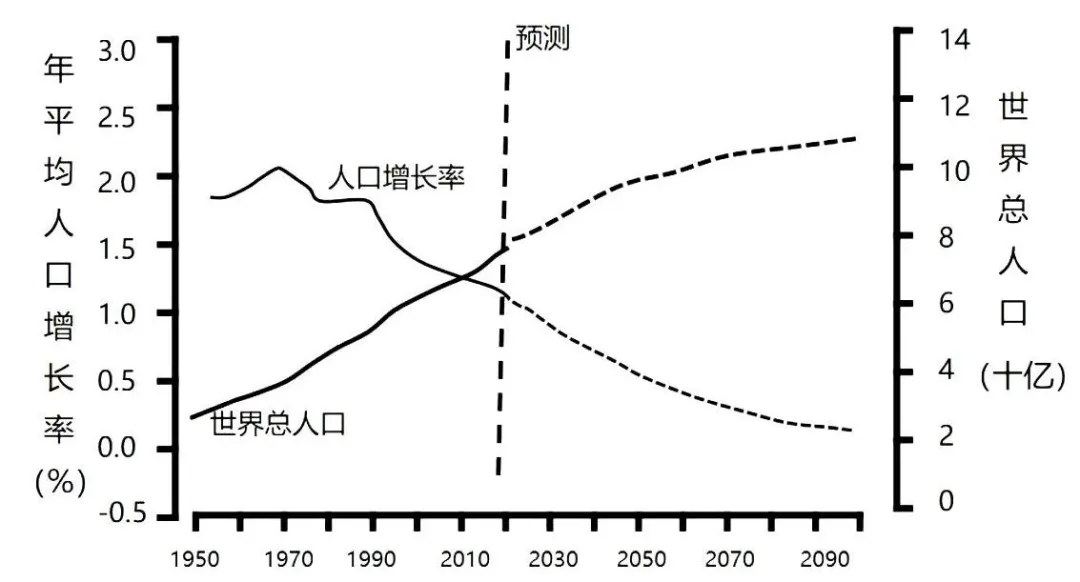 2026年地理中考热点(59)2025 世界人口状况报告 第5张