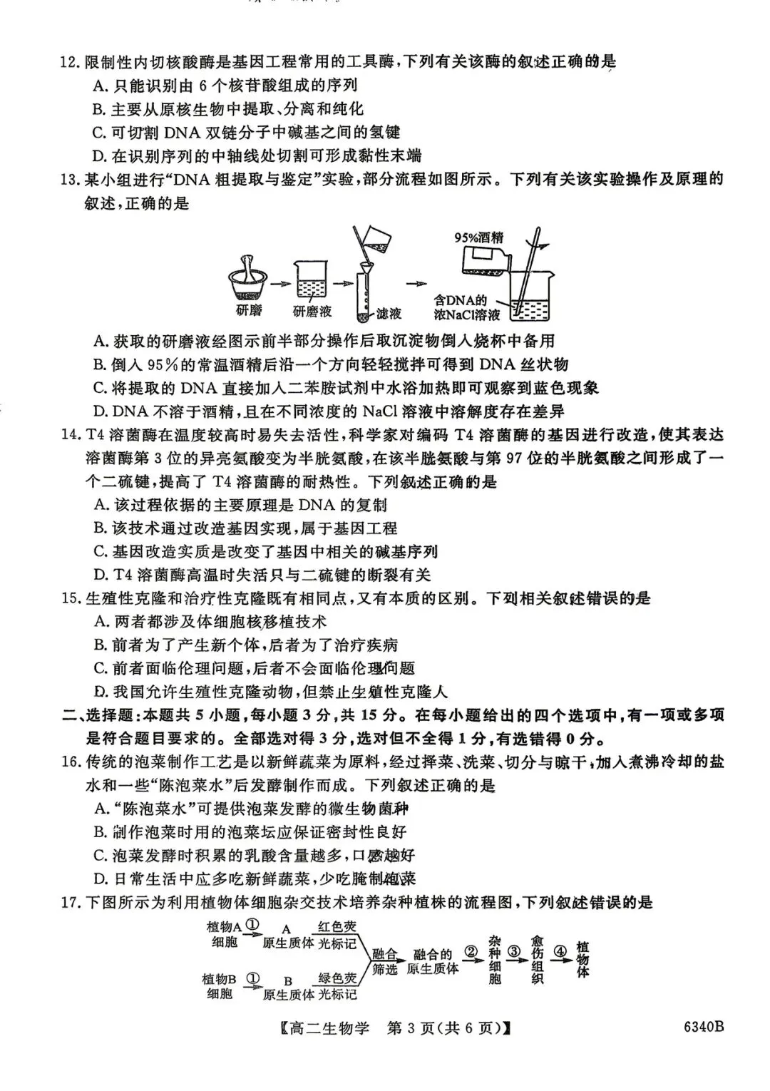 2026年四平四中高二期中考试生物试卷 第3张