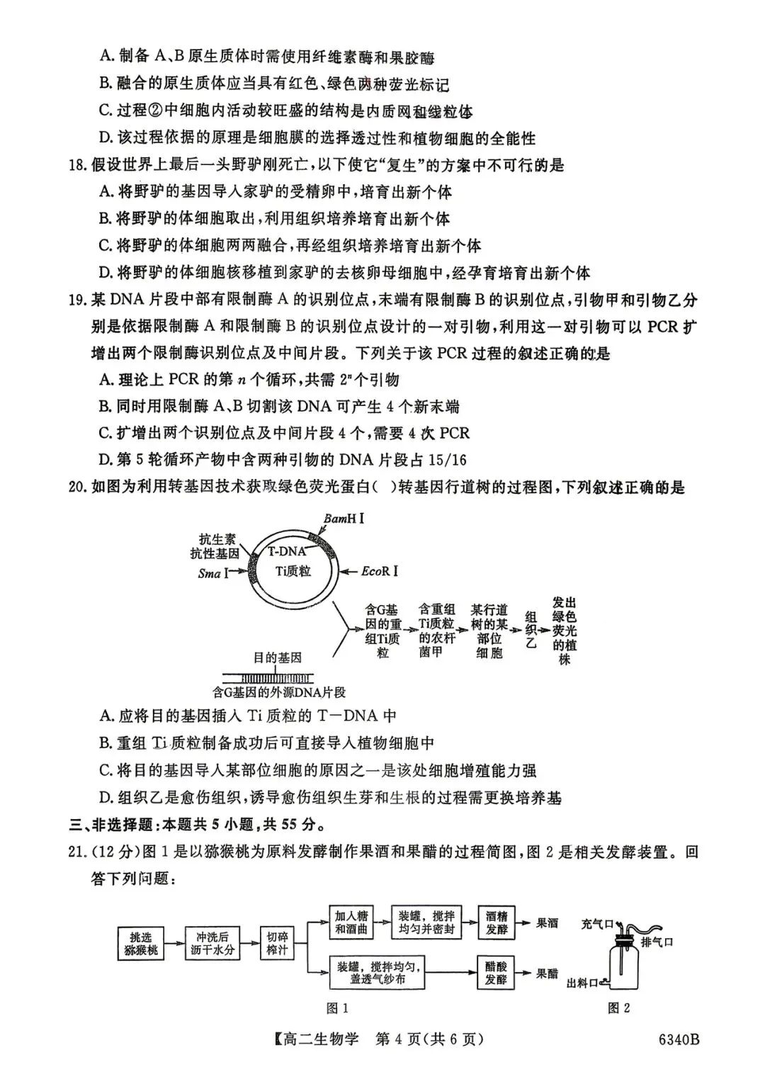 2026年四平四中高二期中考试生物试卷 第4张