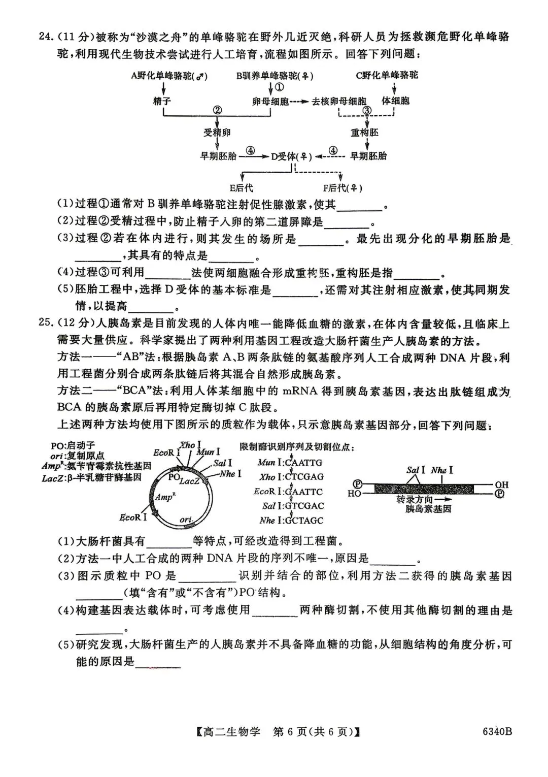2026年四平四中高二期中考试生物试卷 第6张