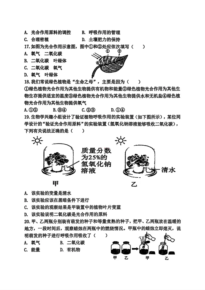 2026虹桥中学七年级下生物期中考试 试卷+答案 第4张
