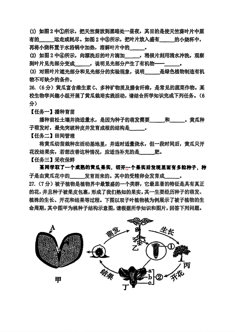 2026虹桥中学七年级下生物期中考试 试卷+答案 第6张