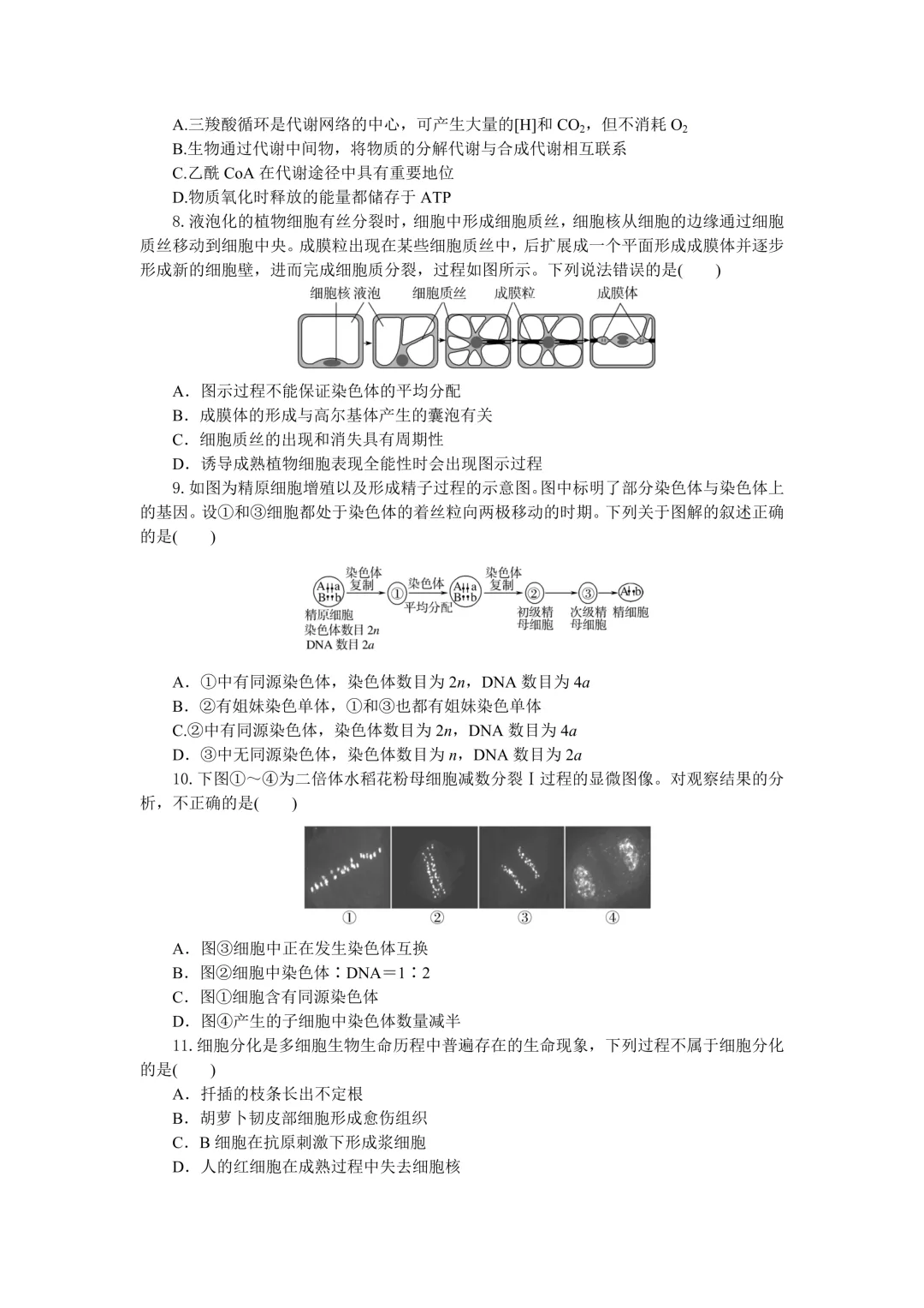 【试卷】2024-2025学年湖北省部分高中协作体高一(下)5月联考生物含答案(免费领取) 第3张