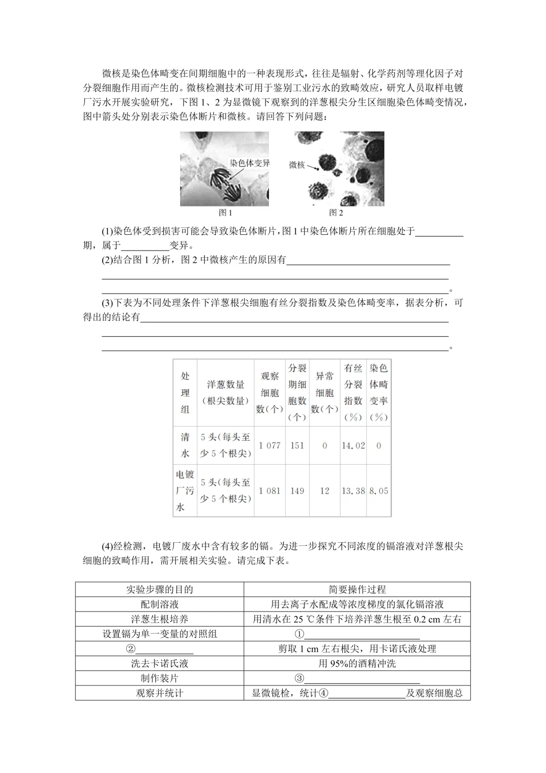 【试卷】2024-2025学年湖北省部分高中协作体高一(下)5月联考生物含答案(免费领取) 第6张