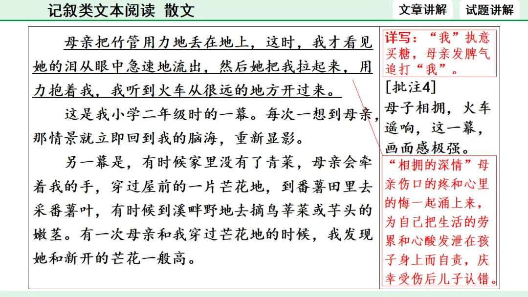 中考散文类文本阅读 第10张