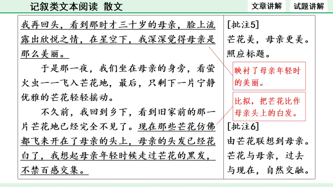 中考散文类文本阅读 第12张