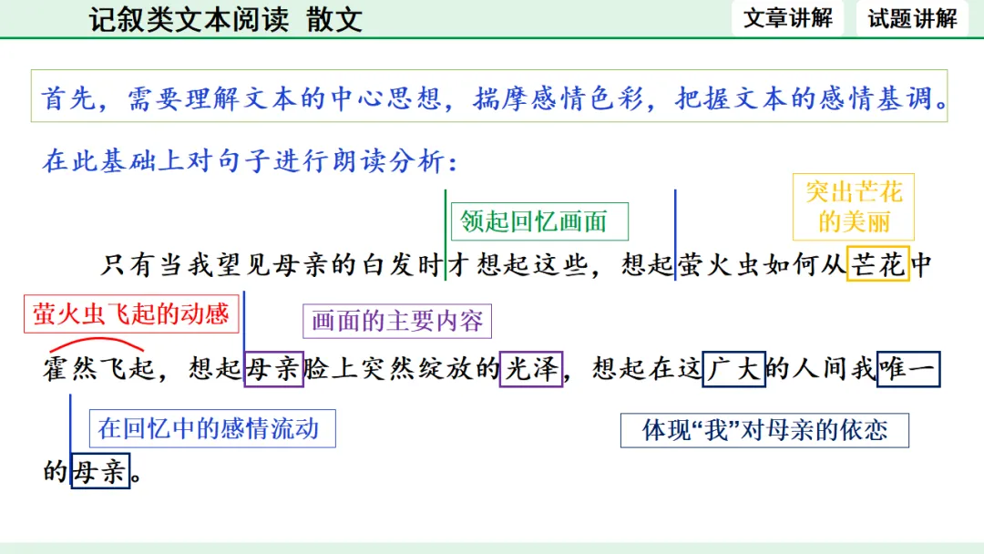 中考散文类文本阅读 第32张