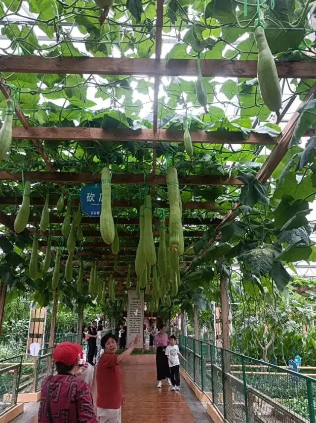 26真题:有人说,基层工作中,工作人员要努力做好老百姓的“探测器”“助推器”“连接器”.请结合基层工作实际,谈谈你对这句话的理解. 第4张