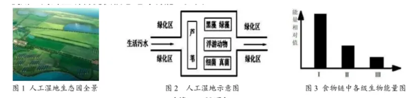 中考科学(浙江)二轮复习冲刺练(11)——生态系统 第2张