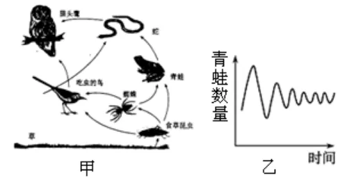 中考科学(浙江)二轮复习冲刺练(11)——生态系统 第3张