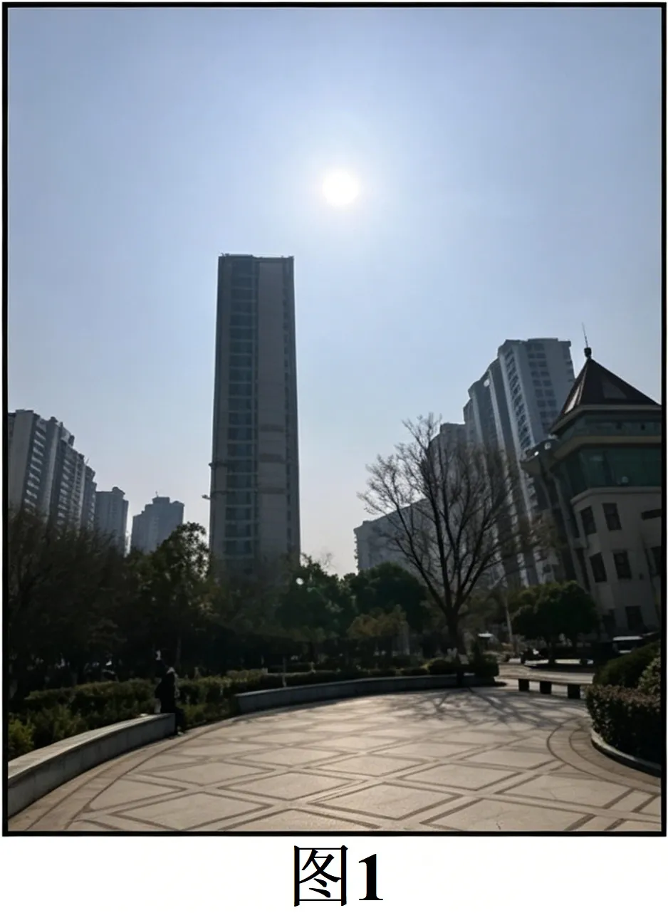 金华十校2026年4月高三模拟考试地理试卷 第11张