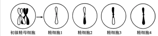 高考真题 | 每日一题(268) 第2张