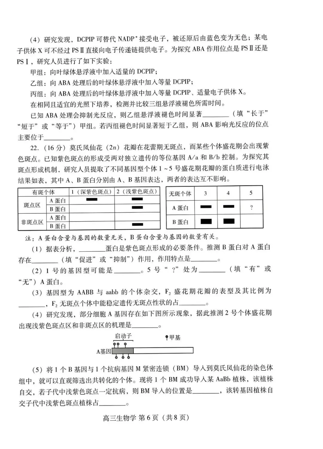 【高三生物】山东潍坊市高三4月高考模拟考试(潍坊二模)生物试题+答案 第6张