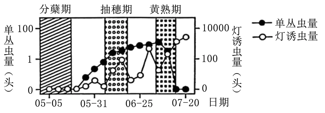 【高考真题】2025年广西卷生物试题 第5张