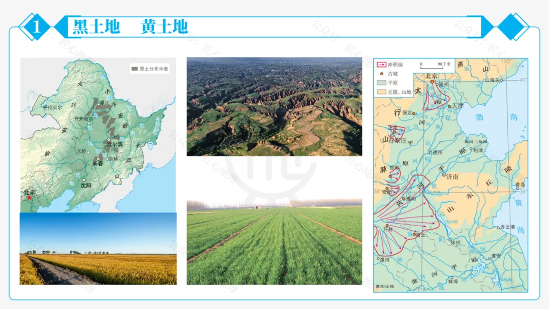 新教材 | 中考一轮复习·北方地区自然特征与农业(课件+导学单+练习题) 第30张