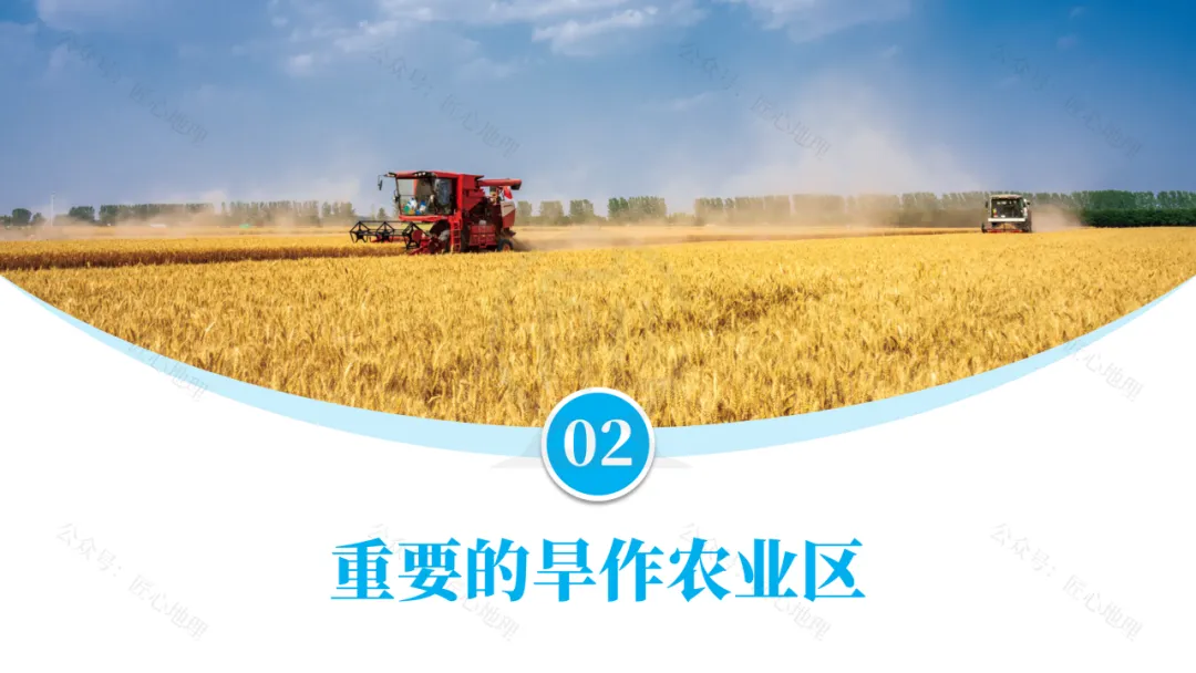 新教材 | 中考一轮复习·北方地区自然特征与农业(课件+导学单+练习题) 第39张