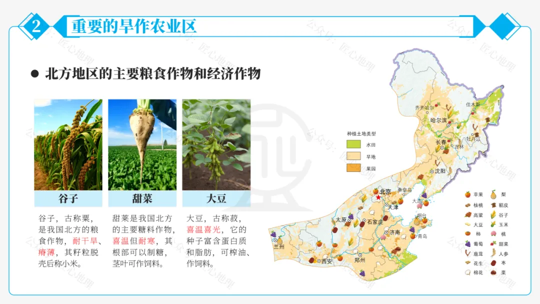 新教材 | 中考一轮复习·北方地区自然特征与农业(课件+导学单+练习题) 第41张