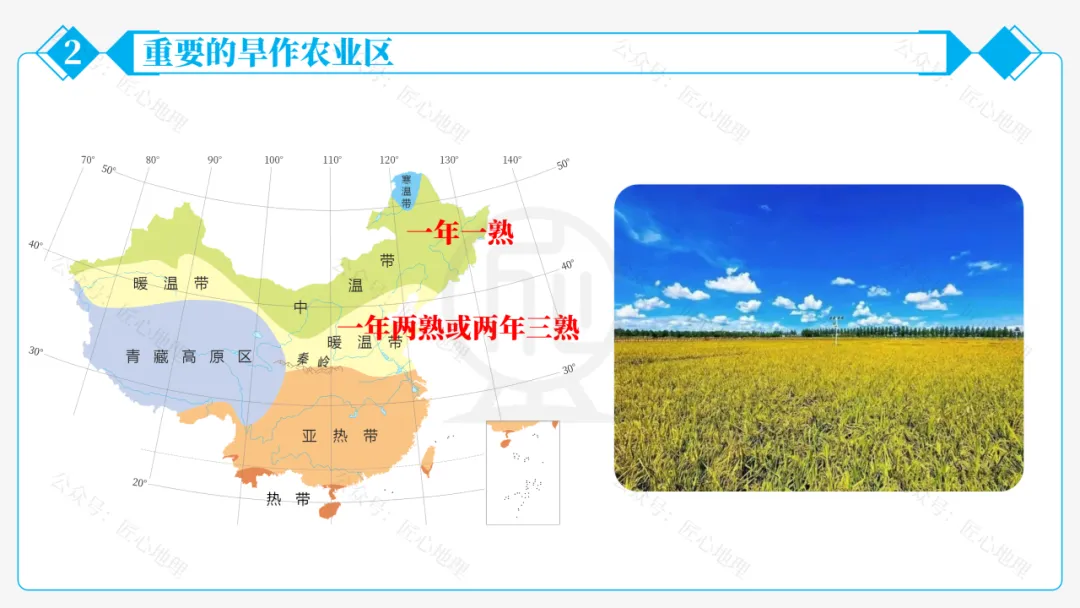 新教材 | 中考一轮复习·北方地区自然特征与农业(课件+导学单+练习题) 第42张