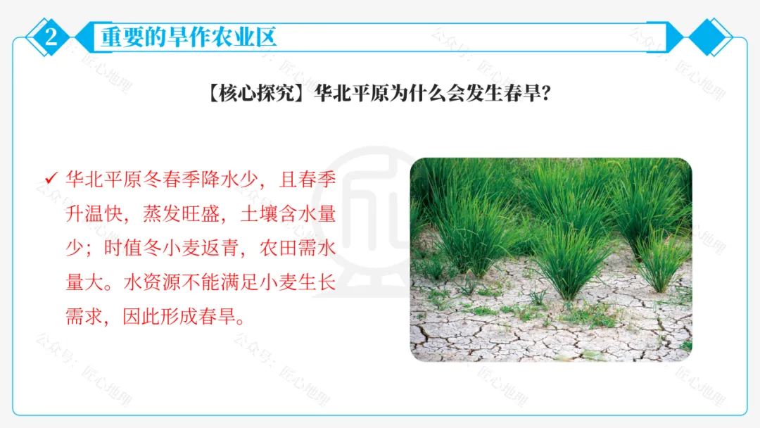 新教材 | 中考一轮复习·北方地区自然特征与农业(课件+导学单+练习题) 第43张