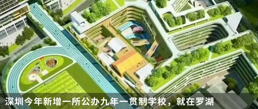 考前必看!深外真题方向:3-5年真题对比分析 第27张